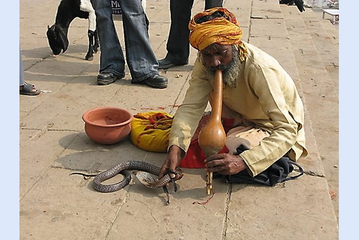 Viaggio in India 2008 - Varanasi